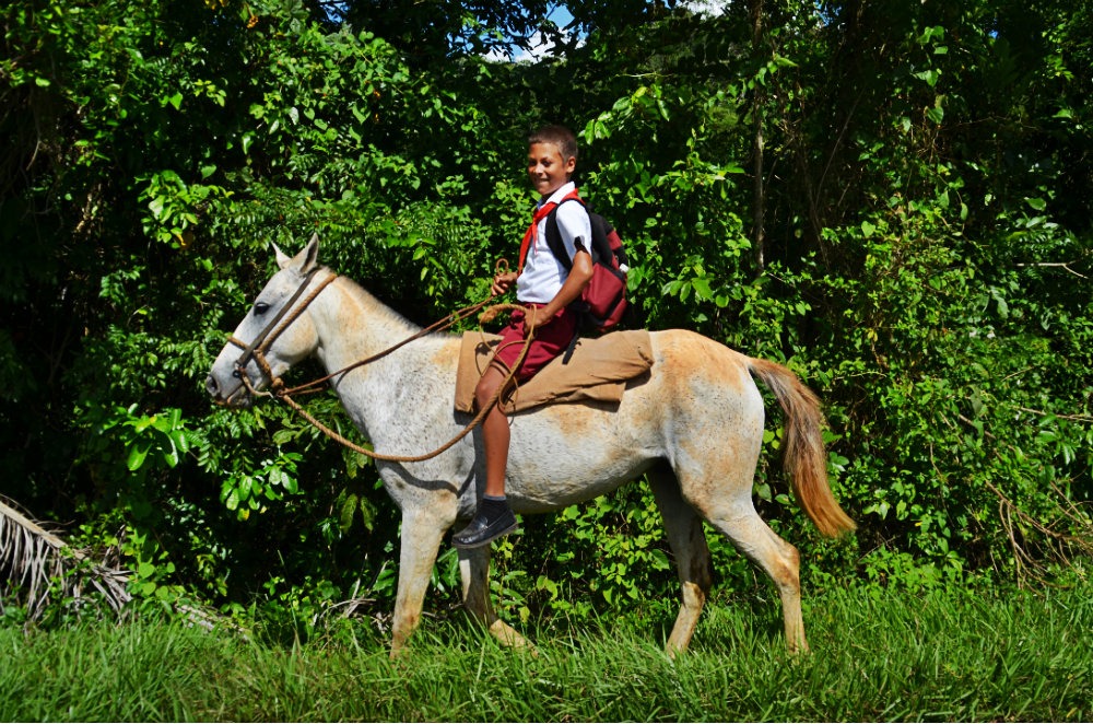 You are currently viewing Balade photographique dans le Viñales des cubains