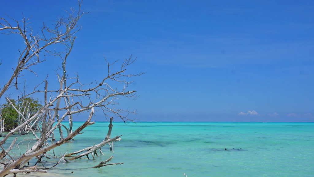 Playa Cayo Levisa