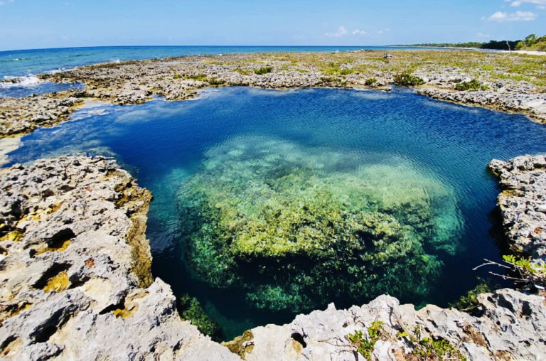 Lire la suite à propos de l’article Maria la Gorda et la péninsule de Guanahacabibes, la pointe ouest de Cuba